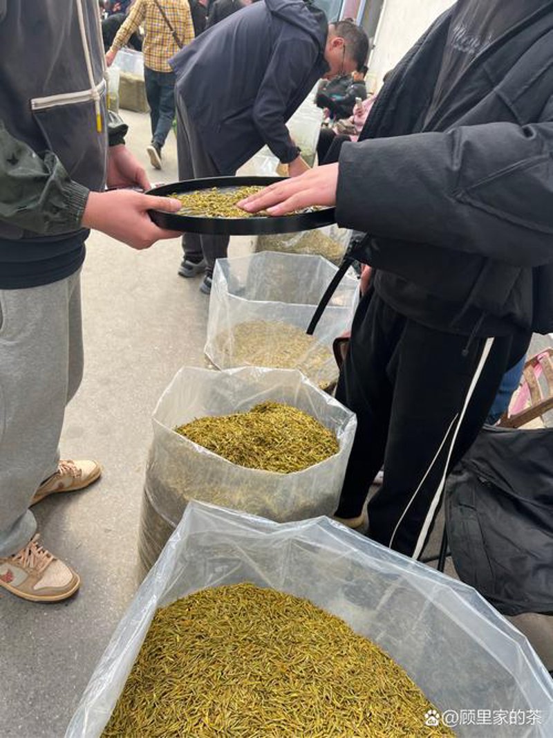 四川茶叶：了解茶道之美的使用技巧