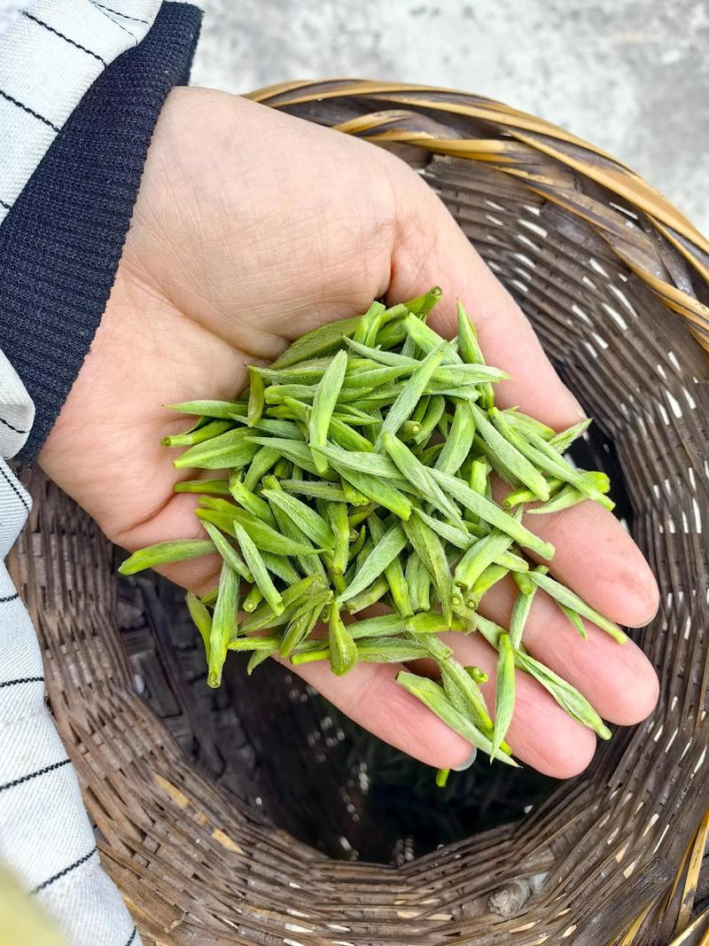 花茶供应